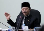 Ketua DPRD Kepri Jumaga Nadeak Lebih Setuju Batam Tetap Jadi Kawasan FTZ