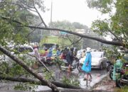 Pohon Tumbang Karena Hujan Deras Jalanan Macet 30 Menit
