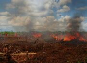 BMKG : Bulan Juni Ada Titik Panas, Riau dan Sumut Harus Waspada