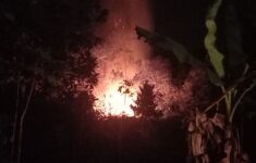 20230814 192235 3430606739