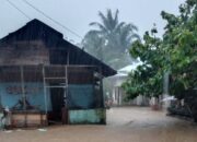 Beberapa Wilayah Terendam Banjir Sejak Sore Hingga Malam di Pesisir Selatan Sumatera Barat