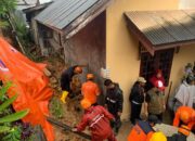 BPBD Tanjungpinang Evakuasi Tanah longsor dan Pohon Tumbang di Beberapa Wilayah