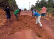 Jalan Desa Linau Kabupaten Lingga Belum Ada Kejelasan Dinas Terkait Hingga Kini