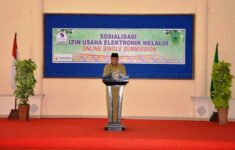 Asisten Ekonomi dan Pembangunan Sosialisasi Pelayanan Perizinan Berusaha Terintegrasi Secara Elektronik