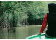 Wisata Mangrove Surga Tersembunyi di Moro Demak, Cek Keindahannya