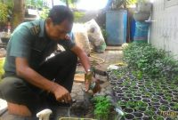 Babinsa Kel. Bukit Cermin Pelda Ibnu saat mengolah pembibitan tanaman (foto. Pendim)