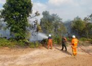 Kebakaran Lahan Kosong di Dompak, Babinsa Kodim 0315/Bintan Bantu Damkar Padamkan Api