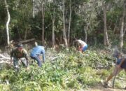Bersihkan Lingkungan, Babinsa Kodim 0315/Bintan Bersama Warga Laksanakan Goro di Desa Penaga