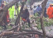 Samapta Polresta Tanjungpinang bersama Dinas Perkim dan BPBD Evakuasi Pohon Tumbang