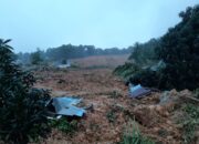 Tanah Longsor di Pulau Serasan Puluhan Orang Dikabarkan Hilang, Pihak BPBD Kesulitan Mencari Informasi