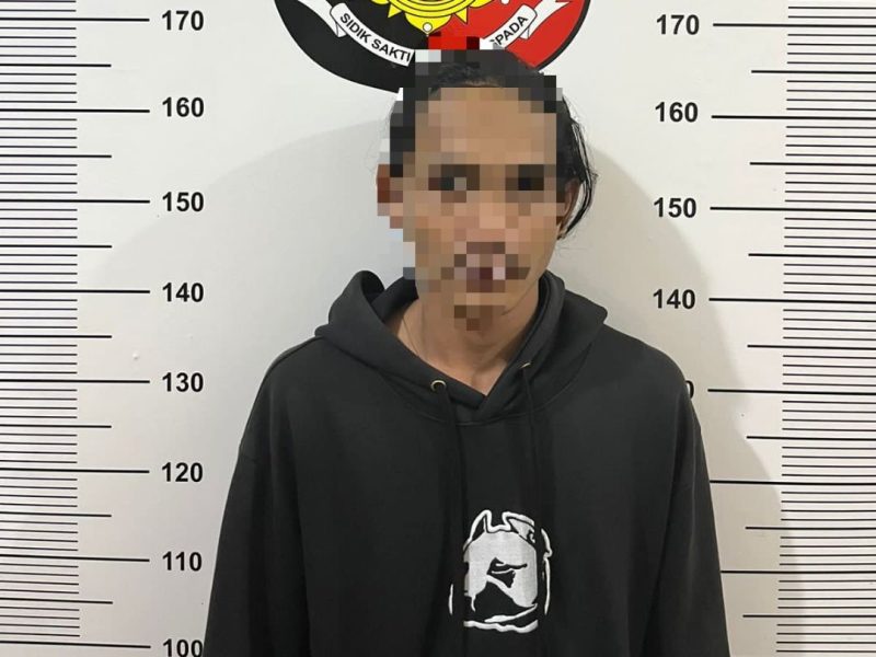 Pelaku Persetubuhan anak dibawah umur yang diringkus pihak Kepolisian