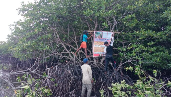 Ketidakjelasan Siapa Pembeli Pulau Potoh, Surat Lahan Seluas 5,5 Ha Diminta Aparat Desa Untuk Di Ganti Rugi