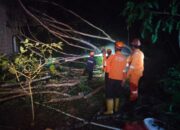 Pohon Tumbang Menimpa Atap Dapur Warga Tanjung Sebauk Darat Berhasil Dievakuasi BPBD Kota Tanjungpinang