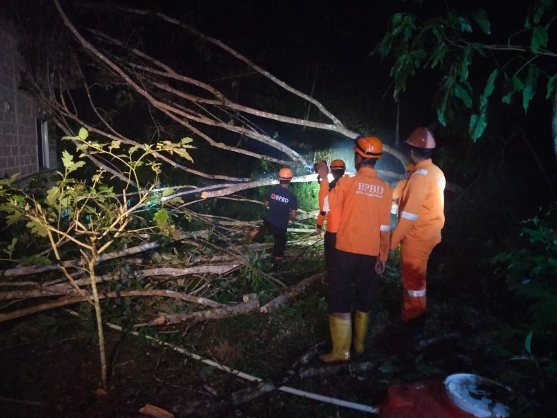 Pihak BPBD Kota Tanjungpinang saat melakukan Evakuasi Pohon Tumbang di Tanjung Sebauk Darat Kelurahan Senggarang Kecamatan Tanjungpinang Kota