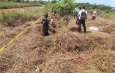 IMG 20230807 WA0013 3618383167