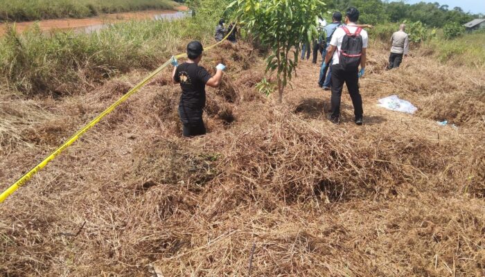Tengkorak Manusia Ditemukan Warga Saat Bersihkan Kebun di Sei Timun Kelurahan Kampung Bugis