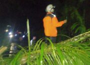 Dua Rumah Rusak Berat Akibat Longsor Dan Pohon Tumbang di Pesisir Selatan Sumatera Barat