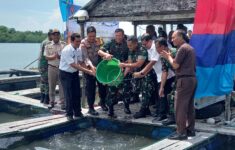 IMG 20231101 WA0009 1839814329