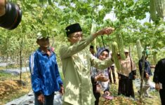 IMG 20231103 WA0020 3830027754