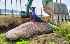 IMG 20231109 WA0005 3626199199