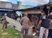 Satpol PP Tanjungpinang Bongkar Bangunan Liar Di Kawasan Jalan Bandara