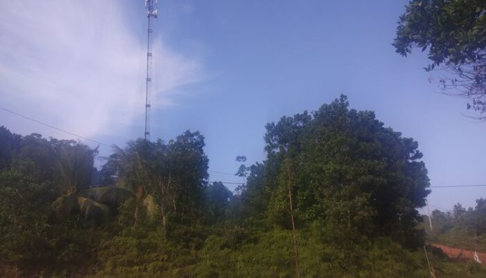 Matinya Jaringan Internet Telkomsel di Desa Linau Sulitkan Pelajar Kerjakan Tugas Sekolah