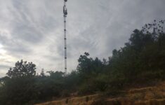 IMG 20200811 163811 1