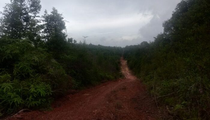 Jalan Masuk Dusun II Semarung Butuh Perhatian Pemerintah Lingga