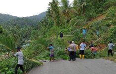 IMG 20201221 132123