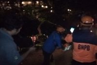 BPBD Tanjungpinang mengevakuasi pohon tumbang depan Comforta Hotel
