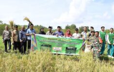 Natuna Adv 1