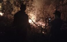 Polish 20230222 232138532 1435451069