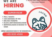 Kopi Konnichiwa Buka Lowongan Kerja di Tanjungpinang, Segera Daftarkan Dirimu