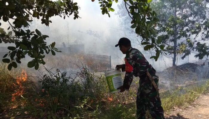 Kebakaran Lahan, Babinsa Ramil 03/0315 Bintan Unjuk ‘Aksi Heroik’ Saat Padamkan Api di Desa Teluk Sasah