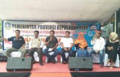 Tomo M3 20180724 235328