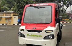e ammdes