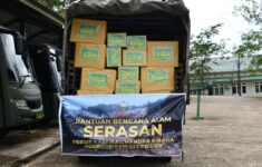 fdd33a38 2eca 482c 9bc3 3cb666a75cc7 193500336