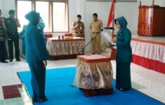 pelantikan ketua tim pkk