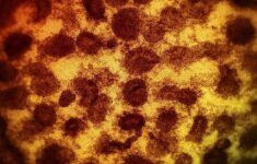 penampakan varian delta