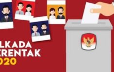 pilkada 2020
