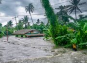 Kabupaten Bintan Diprediksi Terjadi Banjir Rob, Ini Kata BMKG Tanjungpinang