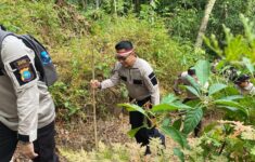 IMG 20240811 WA0053 scaled