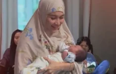 019275800 1725172480 ewfwfewewewe