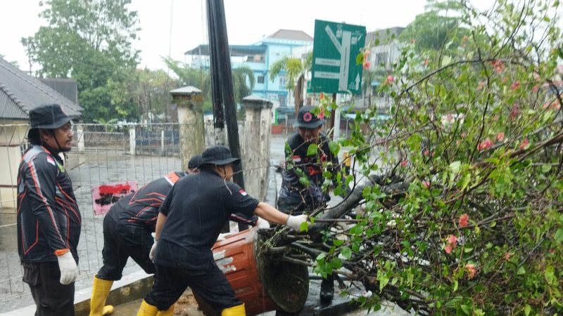 TRC BPBD Tanjungpinang evakuasi pot bunga tumbang di Jalan Tugu Pahlawan, Sabtu (2/11/2024) foto BPBD Tanjungpinang 