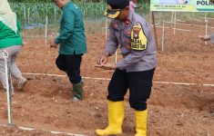 IMG 20241115 WA0077
