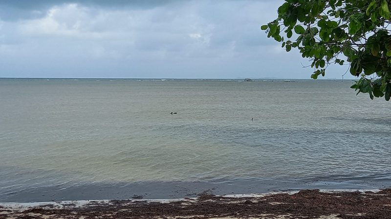 Kondisi Perairan Tanjungpinang Bintan, Minggu (19/1/2025) foto: Indrapriyadi 