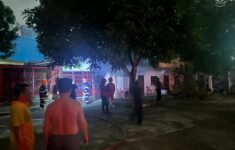 IMG 20250204 WA0147 scaled