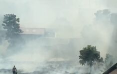 SmartSelect 20250227 005906 WhatsAppBusiness