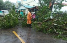 IMG 20250518 WA0122 scaled