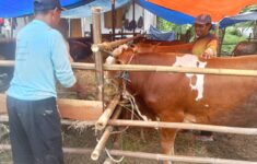 IMG 20250528 WA0144 scaled